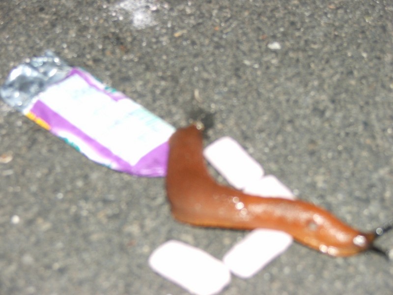 /